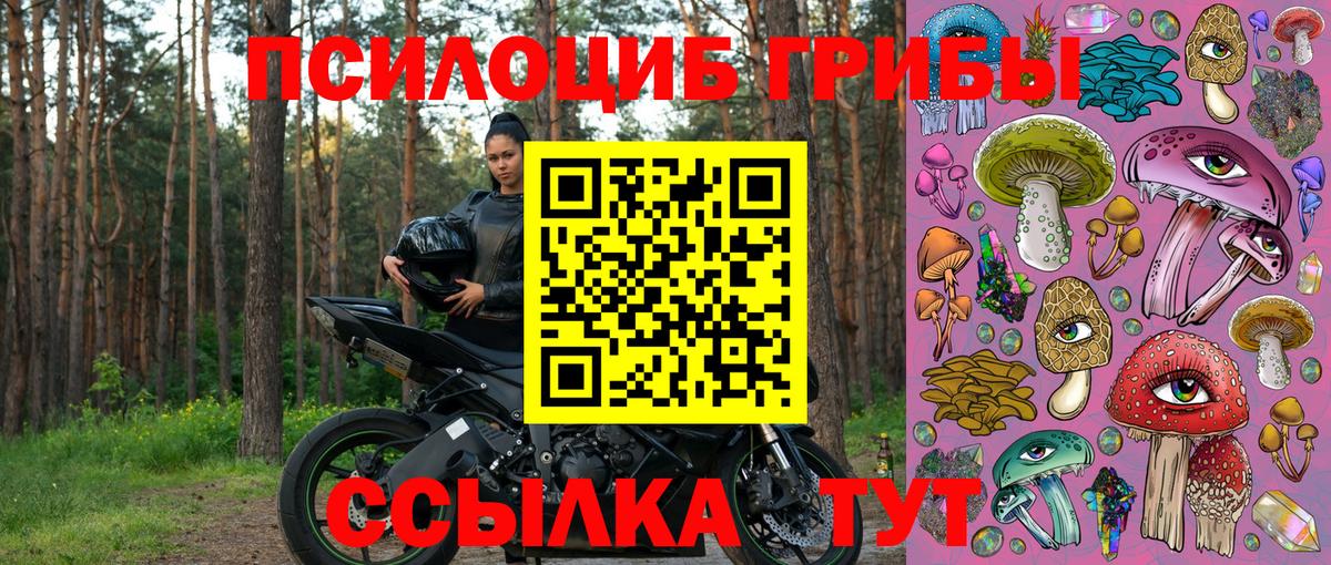 Галлюциногенные грибы Cubensis Бирск