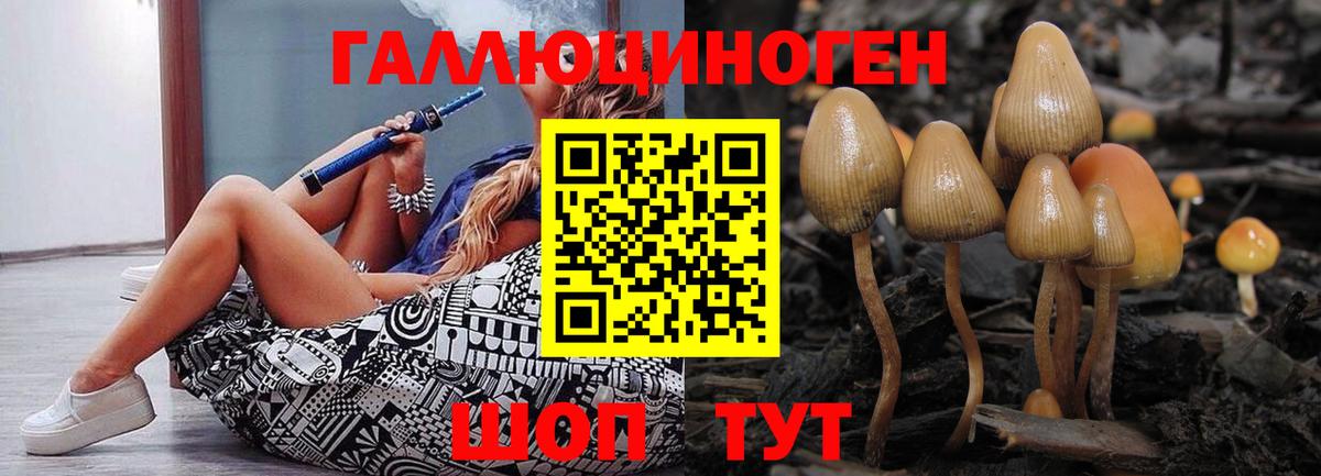 купить наркотики цена  Вход с VPN  Бирск  Галлюциногенные грибы Magic Shrooms 